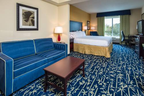 Imagen de la habitación del Hotel Holiday Inn Express & Suites Orlando - Apopk. Foto 13