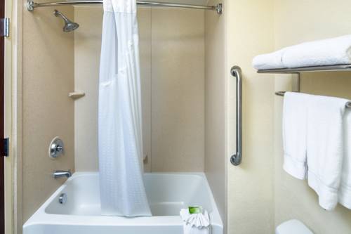 Imagen de la habitación del Hotel Holiday Inn Express & Suites Orlando - Apopk. Foto 14