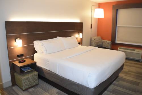 Imagen de la habitación del Hotel Holiday Inn Express & Suites Pensacola West I-10. Foto 5