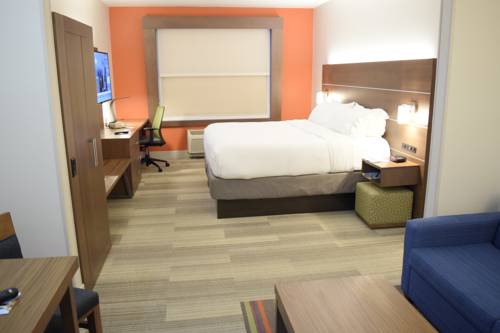 Imagen de la habitación del Hotel Holiday Inn Express & Suites Pensacola West I-10. Foto 11