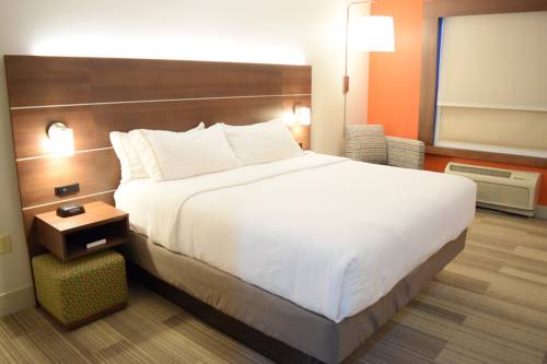 Imagen de la habitación del Hotel Holiday Inn Express & Suites Pensacola West I-10. Foto 12