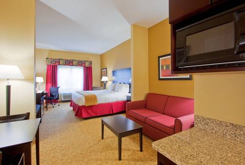 Imagen de la habitación del Hotel Holiday Inn Express & Suites Pensacola West-Navy Base. Foto 8