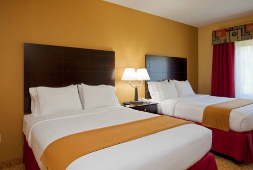 Imagen de la habitación del Hotel Holiday Inn Express & Suites Pensacola West-Navy Base. Foto 9