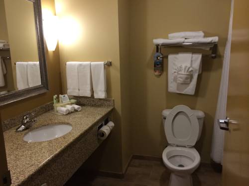 Imagen de la habitación del Hotel Holiday Inn Express & Suites Pensacola West-Navy Base. Foto 13