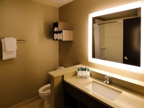 Imagen de la habitación del Hotel Holiday Inn Express & Suites Plymouth - Ann Arbor. Foto 11