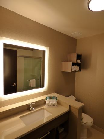 Imagen de la habitación del Hotel Holiday Inn Express & Suites Plymouth - Ann Arbor. Foto 13