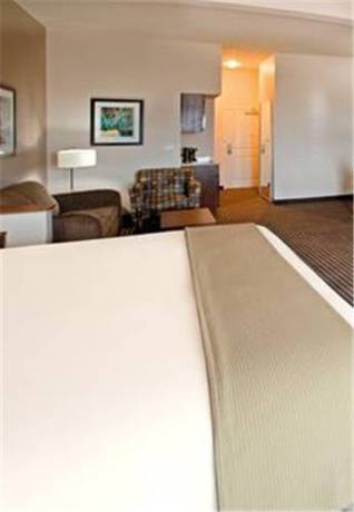 Imagen de la habitación del Hotel Holiday Inn Express & Suites Port Arthur Central-Mall Area. Foto 14