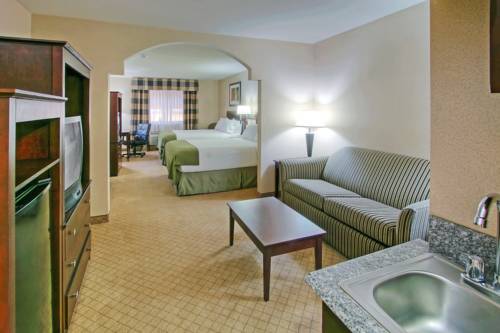 Imagen de la habitación del Hotel Holiday Inn Express & Suites Portales. Foto 7