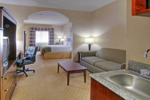 Imagen de la habitación del Hotel Holiday Inn Express & Suites Portales. Foto 8