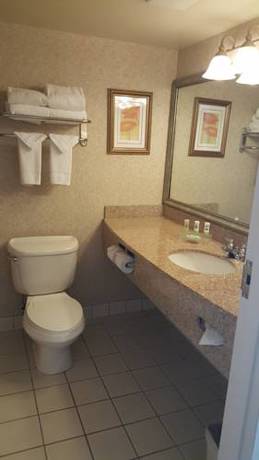 Imagen de la habitación del Hotel Holiday Inn Express & Suites - Prospect Heights, an IHG. Foto 4