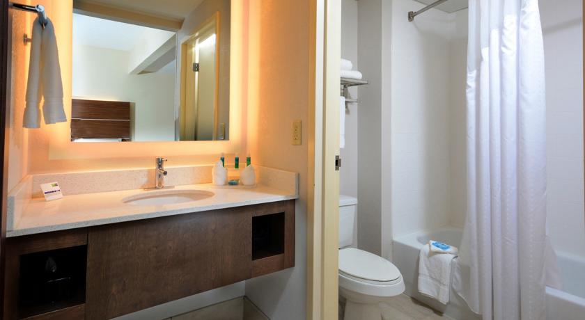Imagen de la habitación del Hotel Holiday Inn Express & Suites Raleigh Durham Airport at RTP. Foto 5