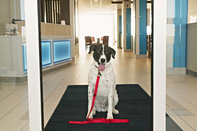 Imagen de los interiores del Hotel Holiday Inn Express & Suites - Rantoul. Foto 15