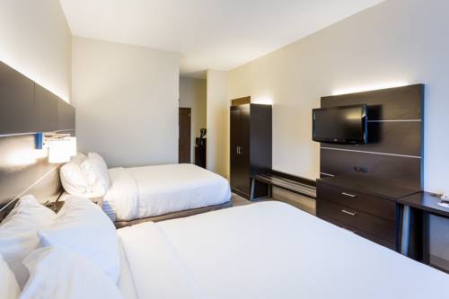 Imagen de la habitación del Hotel Holiday Inn Express & Suites Reading Airport. Foto 9