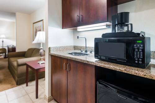 Imagen de la habitación del Hotel Holiday Inn Express & Suites Rochester Webster. Foto 7