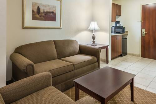 Imagen de la habitación del Hotel Holiday Inn Express & Suites Rochester Webster. Foto 8