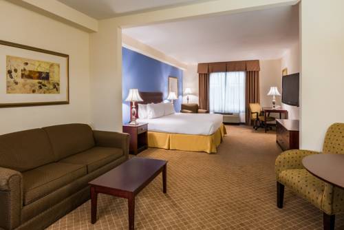 Imagen de la habitación del Hotel Holiday Inn Express & Suites Rochester Webster. Foto 10