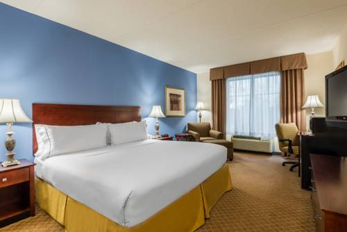 Imagen de la habitación del Hotel Holiday Inn Express & Suites Rochester Webster. Foto 11