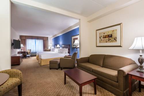 Imagen general del Hotel Holiday Inn Express & Suites Rochester Webster. Foto 1