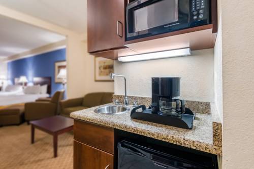Imagen de la habitación del Hotel Holiday Inn Express & Suites Rochester Webster. Foto 13