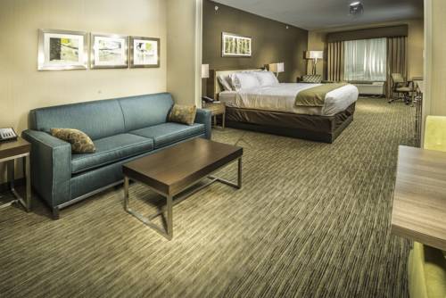 Imagen de la habitación del Hotel Holiday Inn Express & Suites Salt Lake City South - Murray. Foto 4