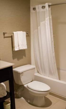 Imagen de la habitación del Hotel Holiday Inn Express & Suites San Antonio Medical-Six Flags. Foto 6
