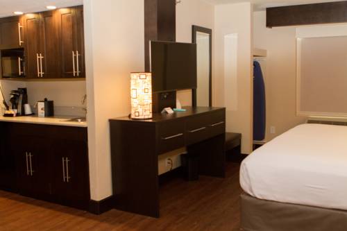 Imagen de la habitación del Hotel Holiday Inn Express & Suites San Antonio Medical-Six Flags. Foto 8