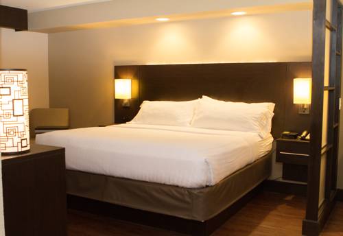 Imagen de la habitación del Hotel Holiday Inn Express & Suites San Antonio Medical-Six Flags. Foto 9
