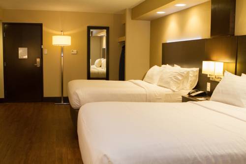 Imagen de la habitación del Hotel Holiday Inn Express & Suites San Antonio Medical-Six Flags. Foto 10