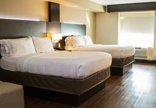 Imagen de la habitación del Hotel Holiday Inn Express & Suites San Antonio Medical-Six Flags. Foto 12
