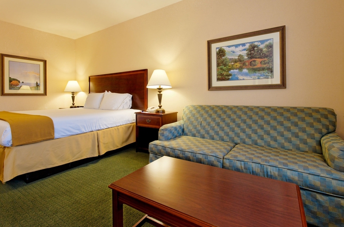 Imagen de la habitación del Hotel Holiday Inn Express & Suites San Antonio South. Foto 9