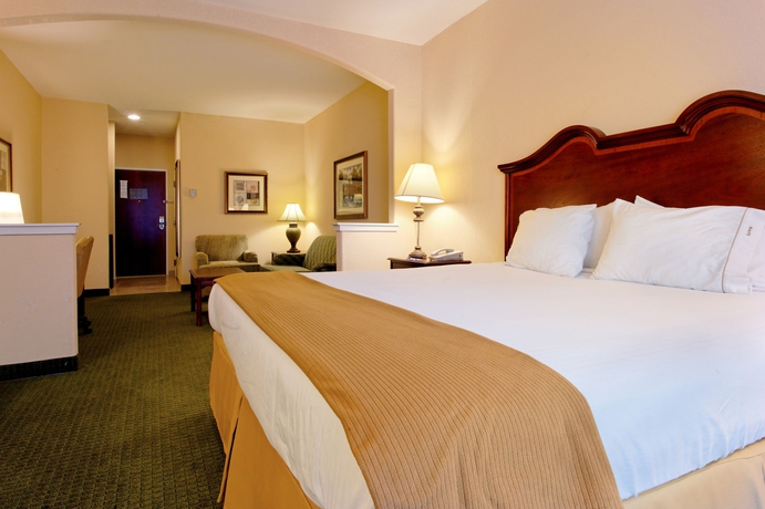 Imagen de la habitación del Hotel Holiday Inn Express & Suites San Antonio South. Foto 11