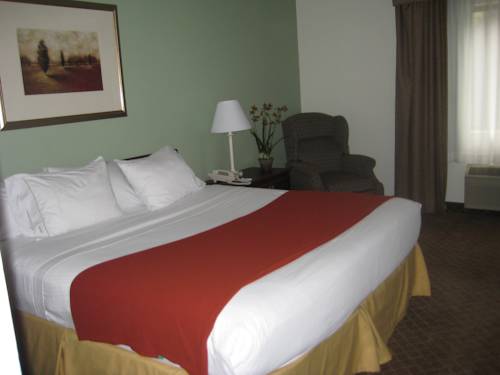 Imagen de la habitación del Hotel Holiday Inn Express & Suites St. Paul - Woodbury. Foto 15