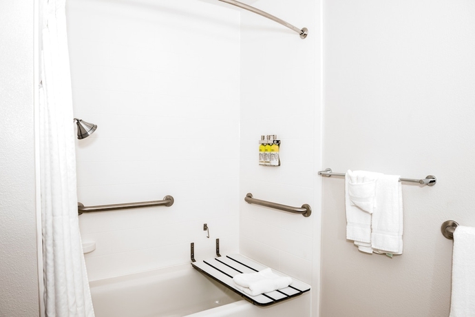 Imagen de la habitación del Hotel Holiday Inn Express & Suites Tampa -USF-Busch Gardens. Foto 3