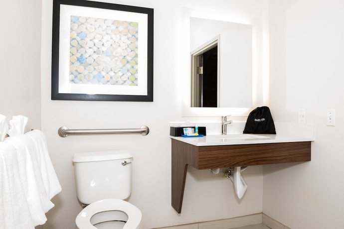 Imagen de la habitación del Hotel Holiday Inn Express & Suites Tampa -USF-Busch Gardens. Foto 4