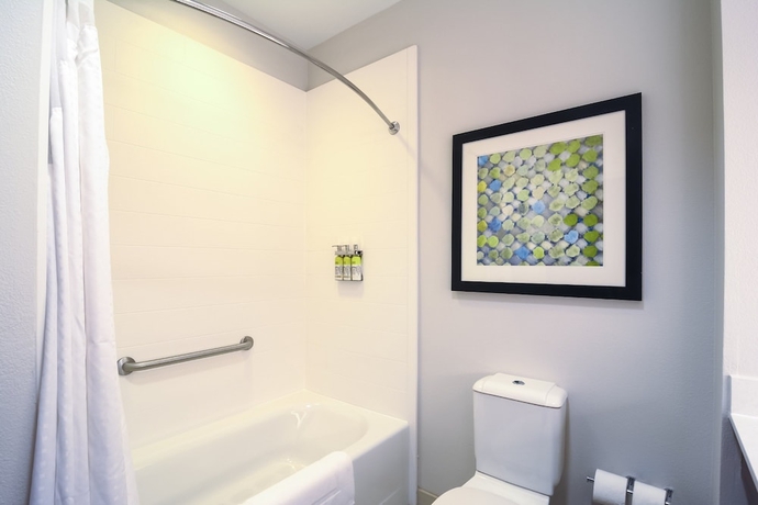 Imagen de la habitación del Hotel Holiday Inn Express & Suites Tampa -USF-Busch Gardens. Foto 5