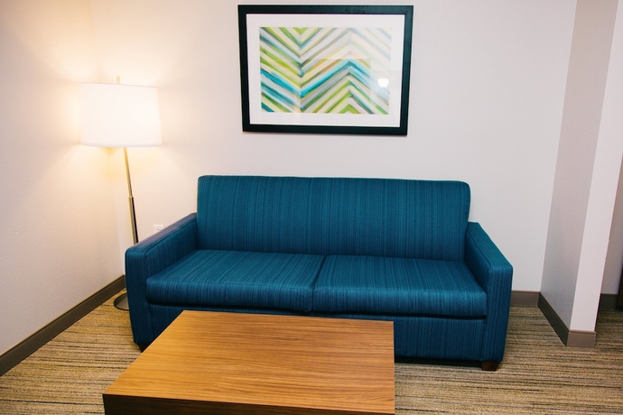 Imagen de la habitación del Hotel Holiday Inn Express & Suites Tampa -USF-Busch Gardens. Foto 9