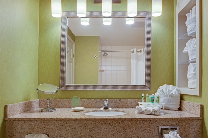 Imagen de la habitación del Hotel Holiday Inn Express & Suites Tampa-I-75 @ Bruce B. Downs. Foto 12