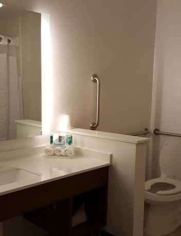 Imagen de la habitación del Hotel Holiday Inn Express & Suites Toledo West. Foto 4