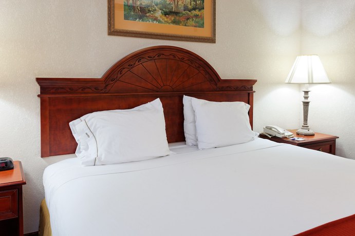 Imagen de la habitación del Hotel Holiday Inn Express & Suites Tupelo. Foto 6