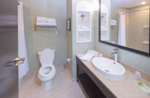 Imagen de la habitación del Hotel Holiday Inn Express & Suites Warminster-horsham. Foto 4