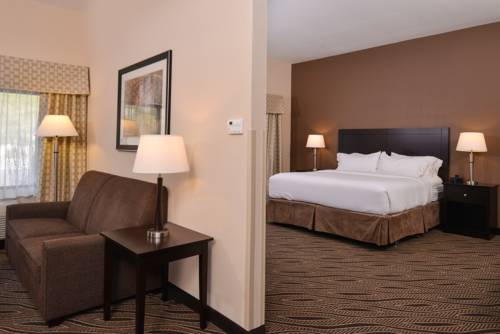Imagen de la habitación del Hotel Holiday Inn Express & Suites Washington - Meadow Lands. Foto 7