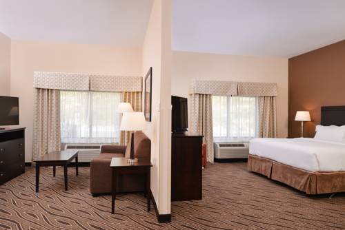 Imagen de la habitación del Hotel Holiday Inn Express & Suites Washington - Meadow Lands. Foto 8