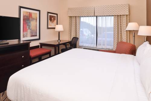 Imagen de la habitación del Hotel Holiday Inn Express & Suites Washington - Meadow Lands. Foto 9