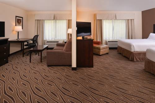 Imagen de la habitación del Hotel Holiday Inn Express & Suites Washington - Meadow Lands. Foto 11