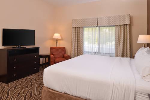 Imagen de la habitación del Hotel Holiday Inn Express & Suites Washington - Meadow Lands. Foto 15