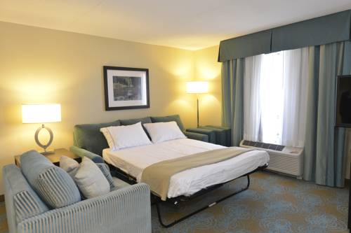 Imagen de la habitación del Hotel Holiday Inn Express & Suites Waterloo - St. Jacobs Area. Foto 4