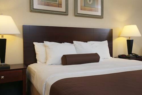 Imagen de la habitación del Hotel Holiday Inn Express & Suites Williamstown - Glassboro. Foto 12