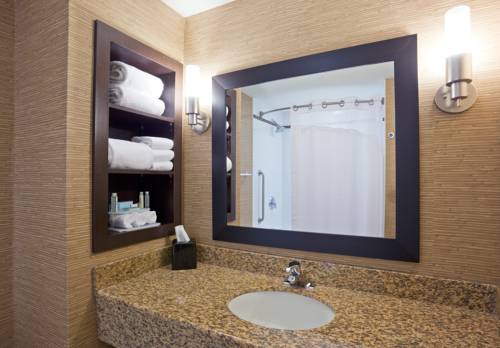 Imagen de la habitación del Hotel Holiday Inn Express & Suites - Woodstock South. Foto 8