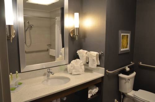 Imagen general del Hotel Holiday Inn Express and Suites Albany, An Ihg, Albany. Foto 1