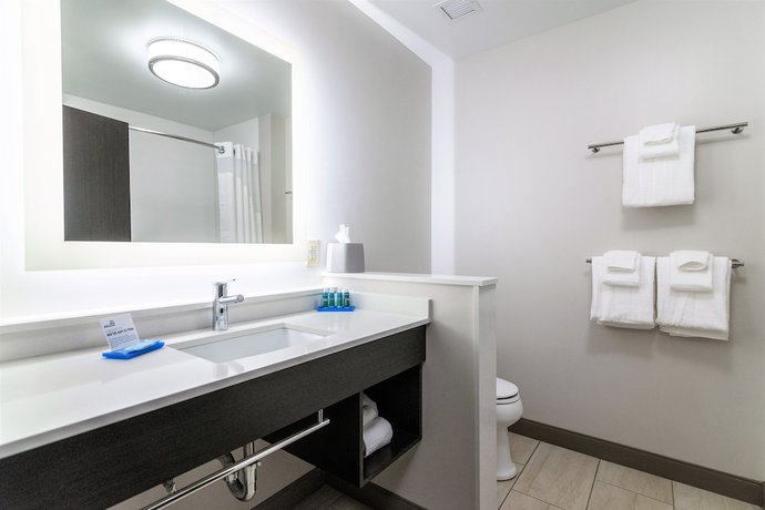Imagen de la habitación del Hotel Holiday Inn Express and Suites Allen Park, an IHG. Foto 13